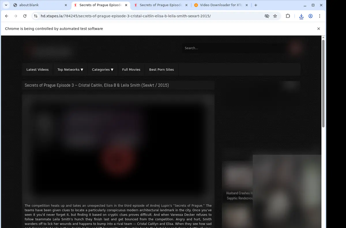 Xtapes Video Downloader screenshot 2