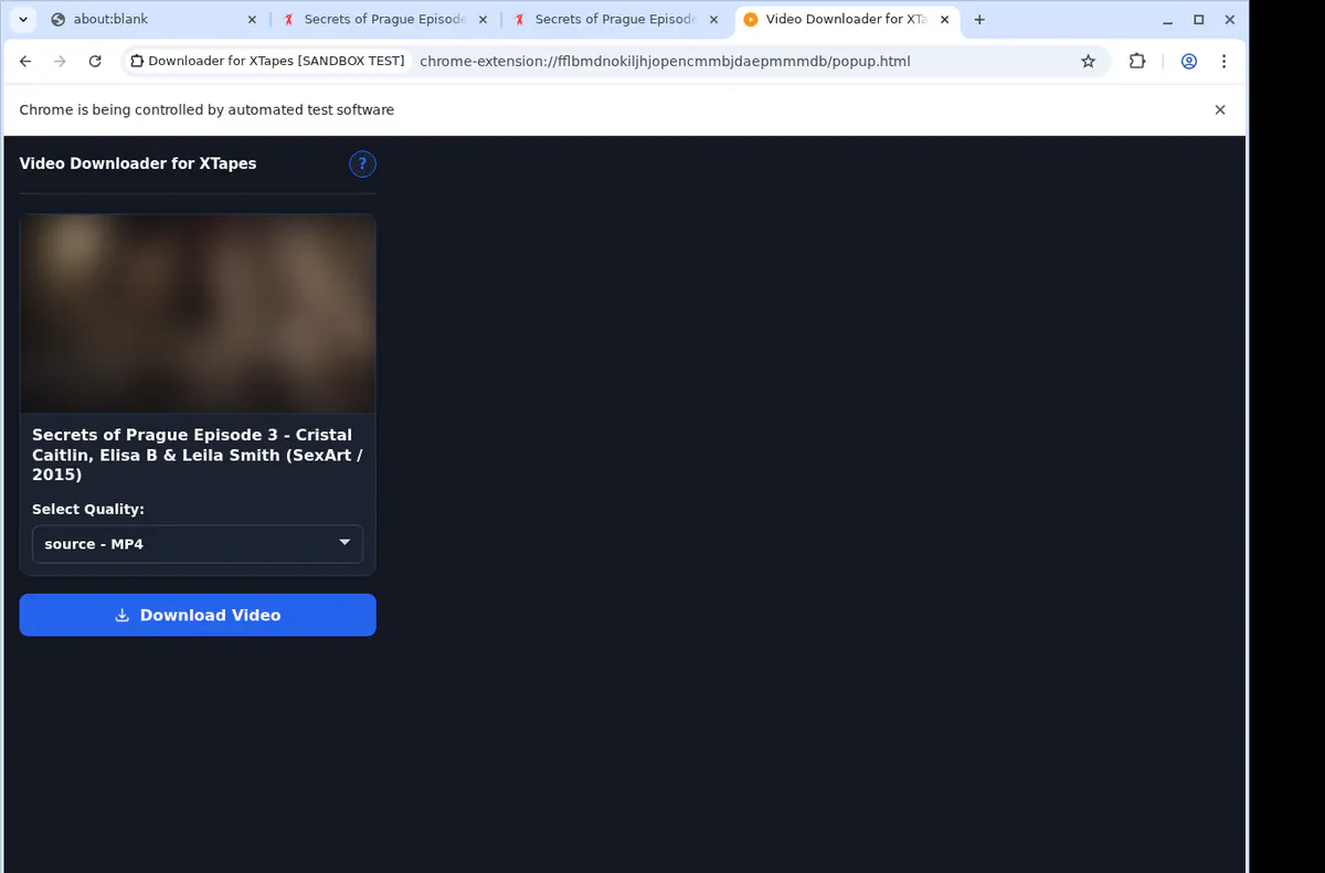 Xtapes Video Downloader screenshot 4