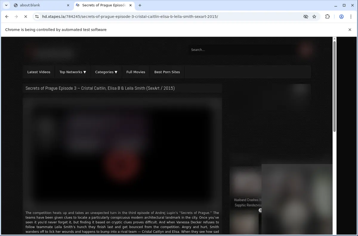 Xtapes Video Downloader screenshot 5